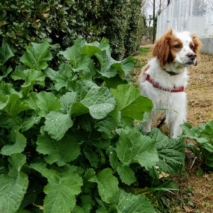 2da13eb0 35ca 42bf b38b 59a0f33403da 1551342795320