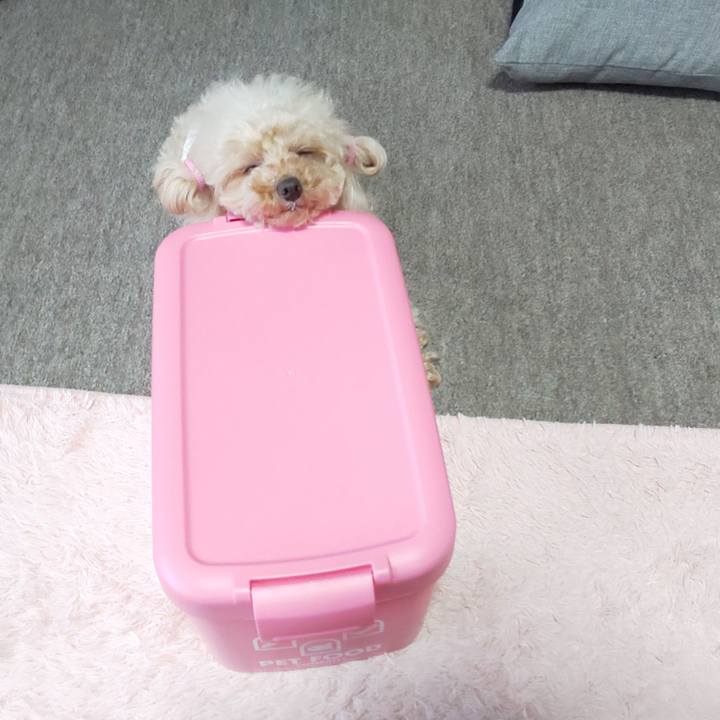 2da16105 7de9 44bd b55e 2b8942b2e5f8 1575028368009