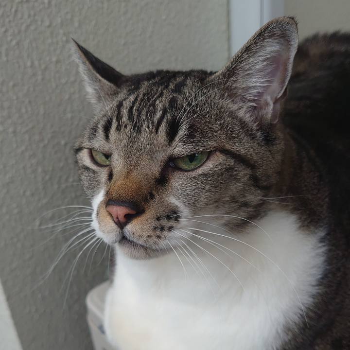 2da166f0 68e2 455a bc12 4d2ddda48948 1673834740787