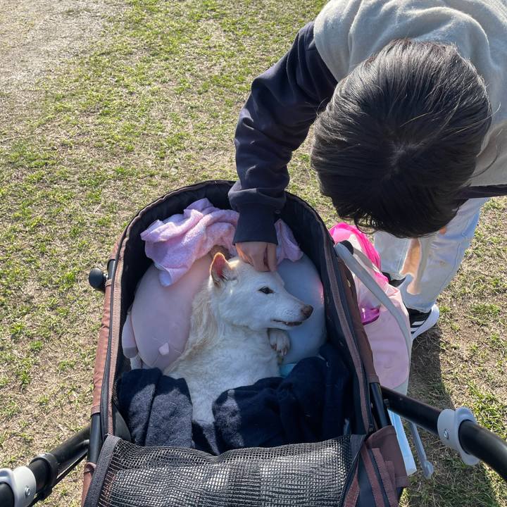 2da18036 c25e 4242 a7cb 0f616f54c89c 1679222014681