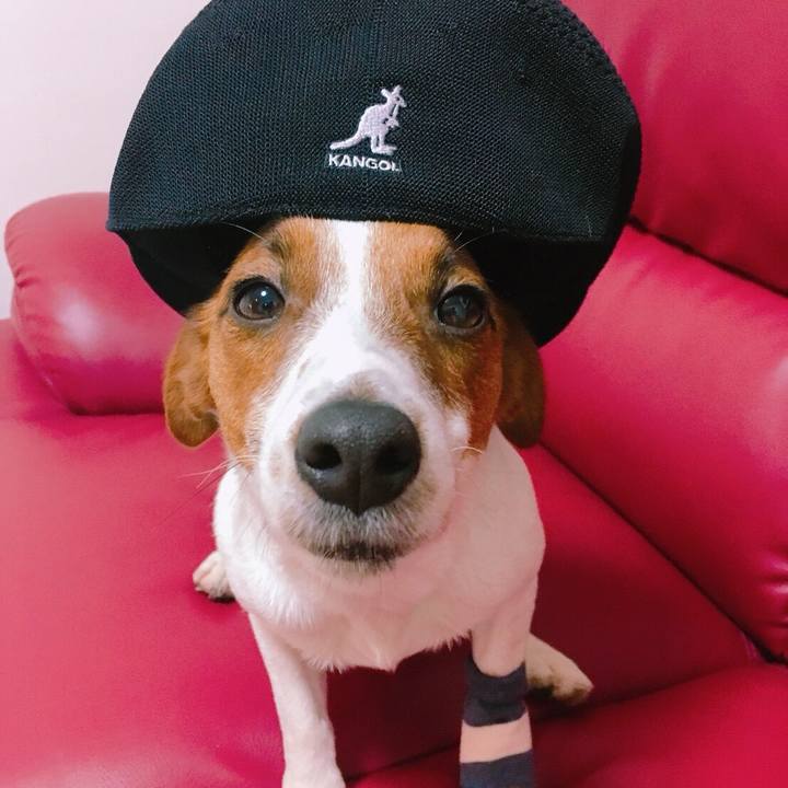 2da1da71 e7ad 4f99 a23c f29944bcc640 1517742043797