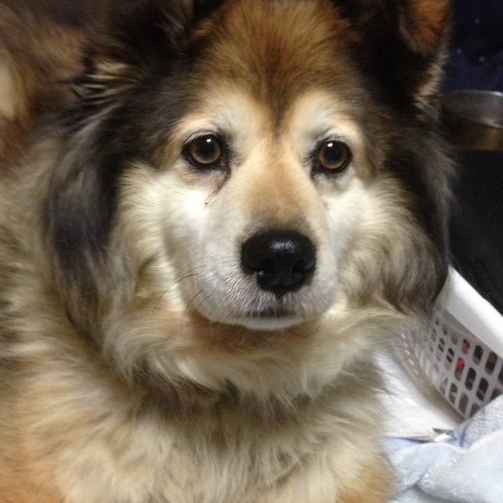 2da20678 b8c5 4413 9a1a e42727f99924 1654266402289