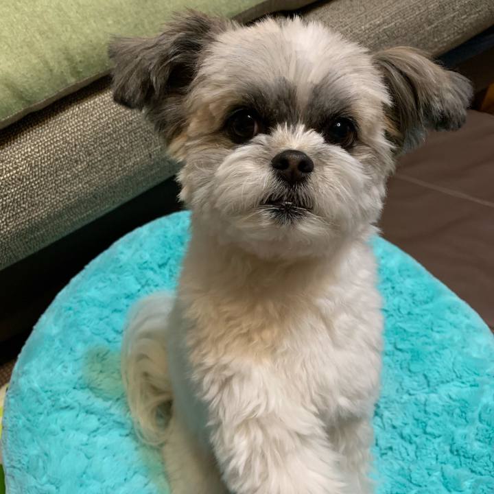 2da23d0f 00bd 413e be15 ace6e7602f92 1552910765668