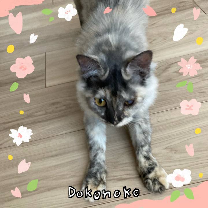 2da2778f a90d 43d3 816d abc0da011bf2 1711008709391