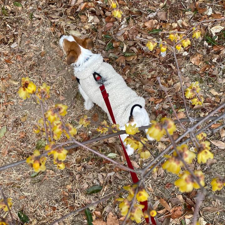 2da2d449 0f8f 4e4f a779 e12aa806c3b4 1740380897273