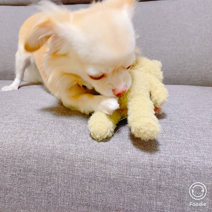 2da309e7 2de5 4737 93dc 1f498abd3a1a 1635160545363