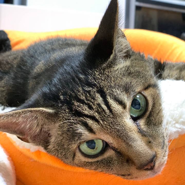 2da33020 c478 4c89 865f 8044445e2043 1570755804321