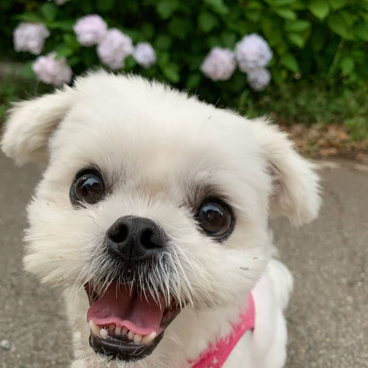 2da33205 4512 4925 ae0a 8feaf0c396ce 1655638829384