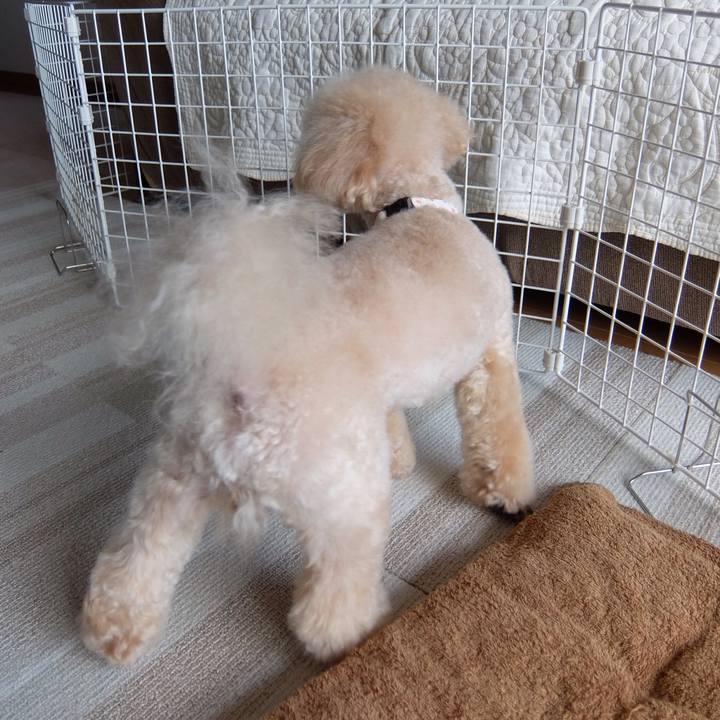 2da335b7 9ac3 4583 8c97 85a57b075914 1566160990080