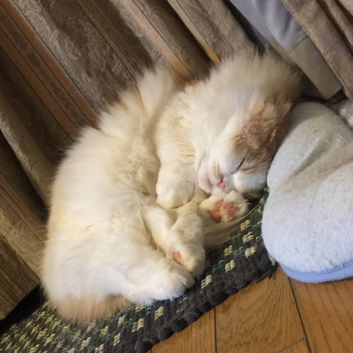 2da33b1c 7632 4668 99b6 235208787fea 1548335060704