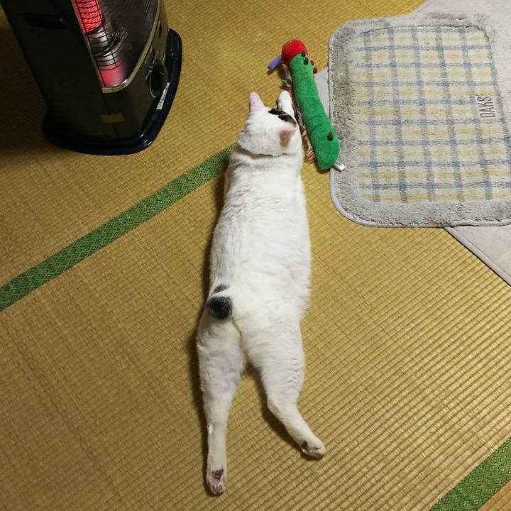 2da35850 fa29 4c93 a8d4 b7873bdb0d93 1516463593368