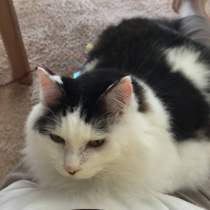 2da37ddf 50aa 469d 8a58 97d4563f7de8 1532745777374