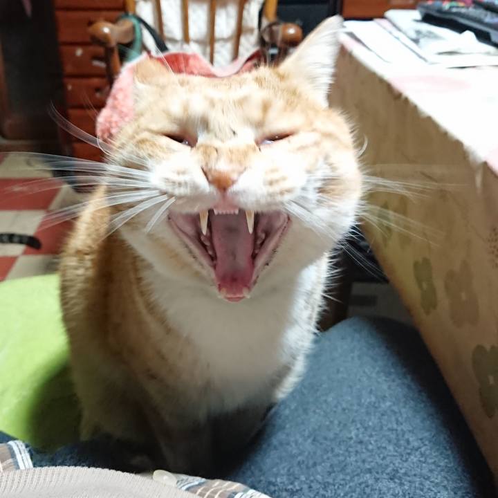 2da38d30 7327 4cd6 aad7 1414cbfba8b2 1580154588198