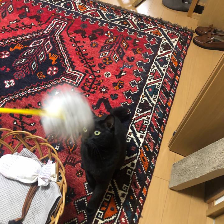 2da3c47d ef0b 45dd 9aa2 3af8c6c2f5d1 1594702806790