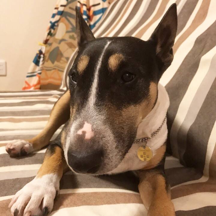 2da3e338 e25c 4037 b4c3 d78103875fc9 1510050840151