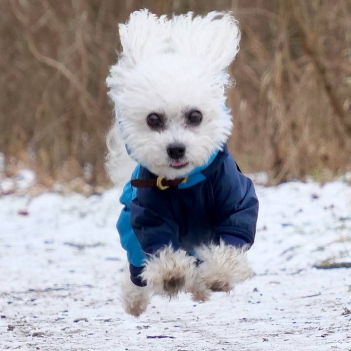 2da40088 8cf2 4a8c a5a1 13ab454352e5 1767223627817