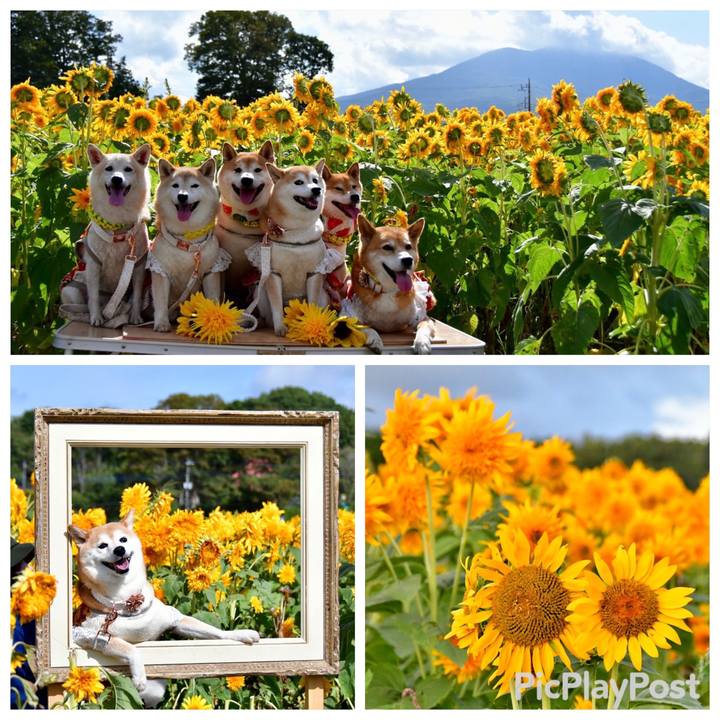 2da43155 f3a6 483f a921 7437e7fbfbb7 1693921871433