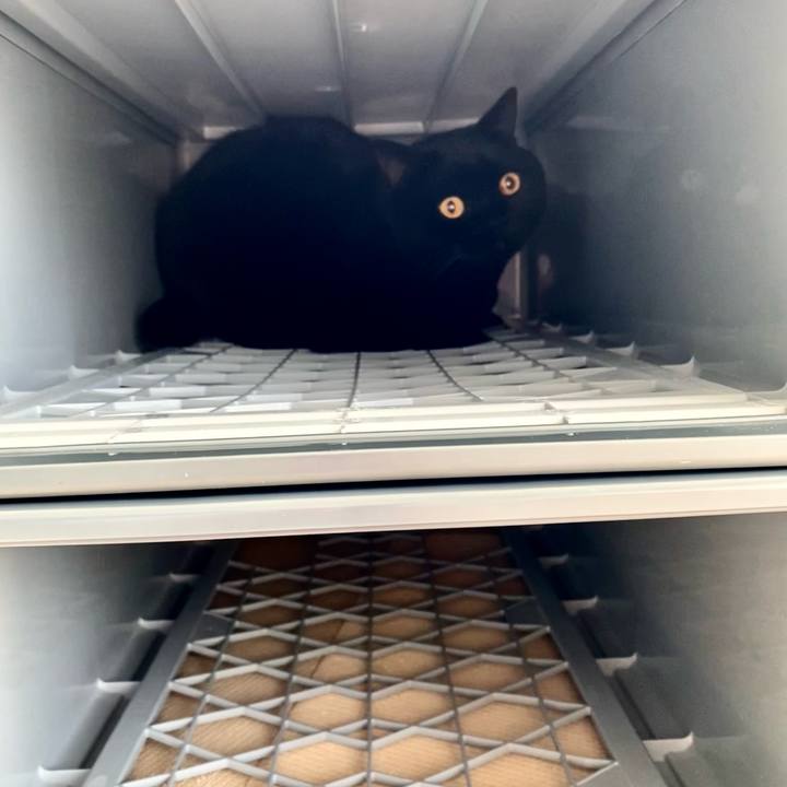 2da43656 81be 4c99 8056 0c289ec10aa7 1701919293372