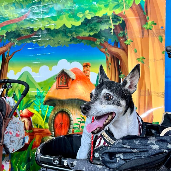 2da46d3b 12a8 41b8 87a4 ea6b67f72583 1651661703476