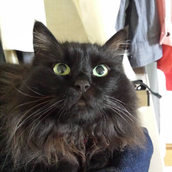 2da47b1d 0369 4127 a8d2 0e1b7d4424f4 1516830729098