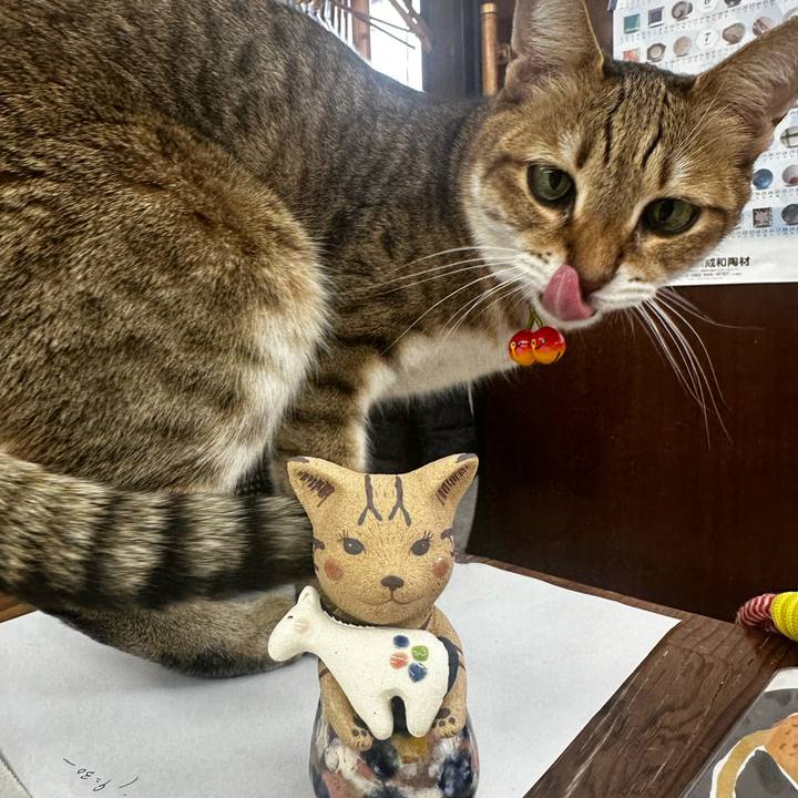 2da49e45 4afd 499f a451 42e79953cd3a 1767850266746