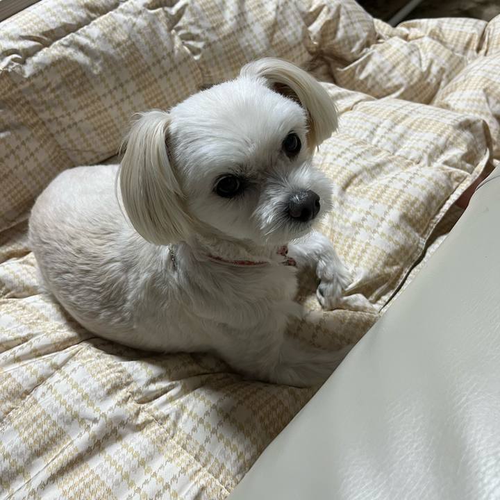 2da4a871 d6c8 4c99 9c74 e3394f2cef5a 1666092333696