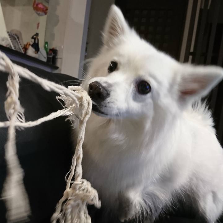 2da4d9cb 49f3 45d0 82ef d78823e571ac 1546012166778