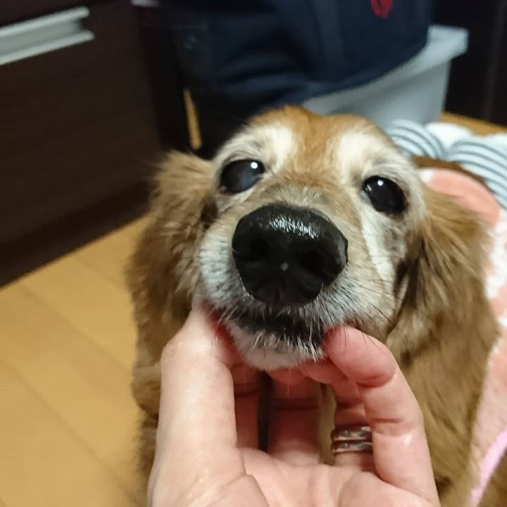 2da4da35 8b1c 4ea3 be68 388142daccbf 1513341067864