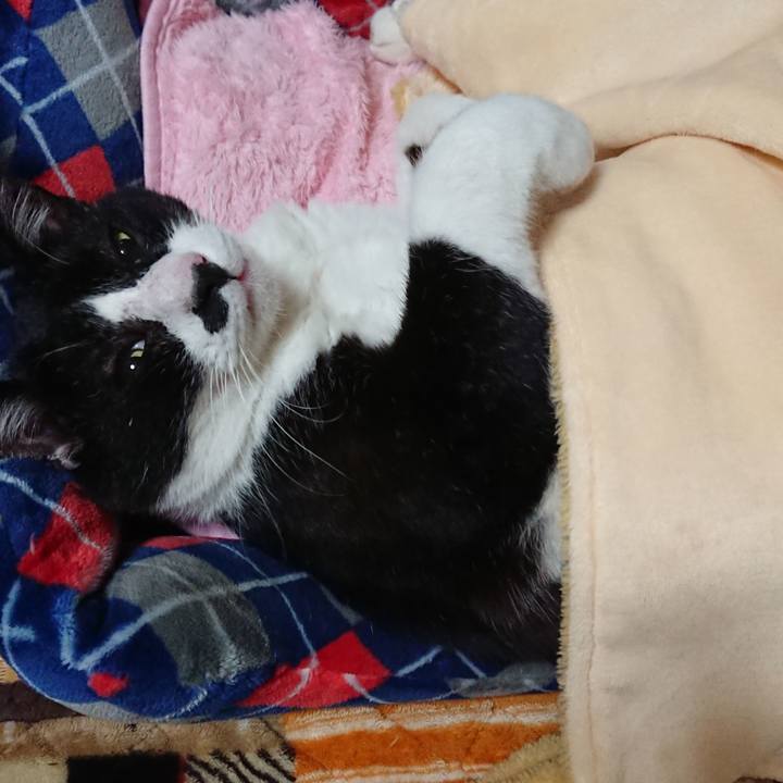 2da4dfb9 aeb4 4db2 943c 7fbffd6edaa9 1542119522145