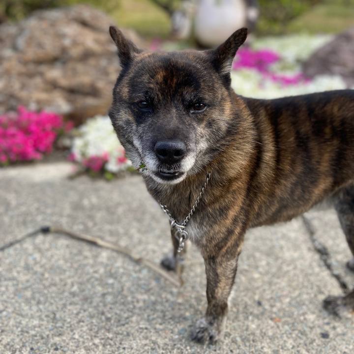 2da4e7f0 fcc2 439b 835f 8a0299a834ca 1587768251712