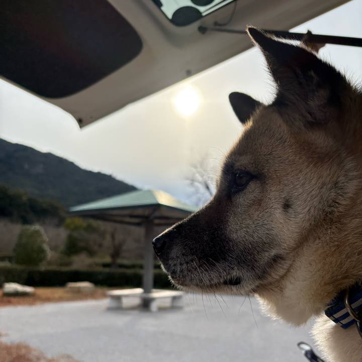 2da4ff64 9325 45c6 9153 c5eee5cc9e86 1736080597571