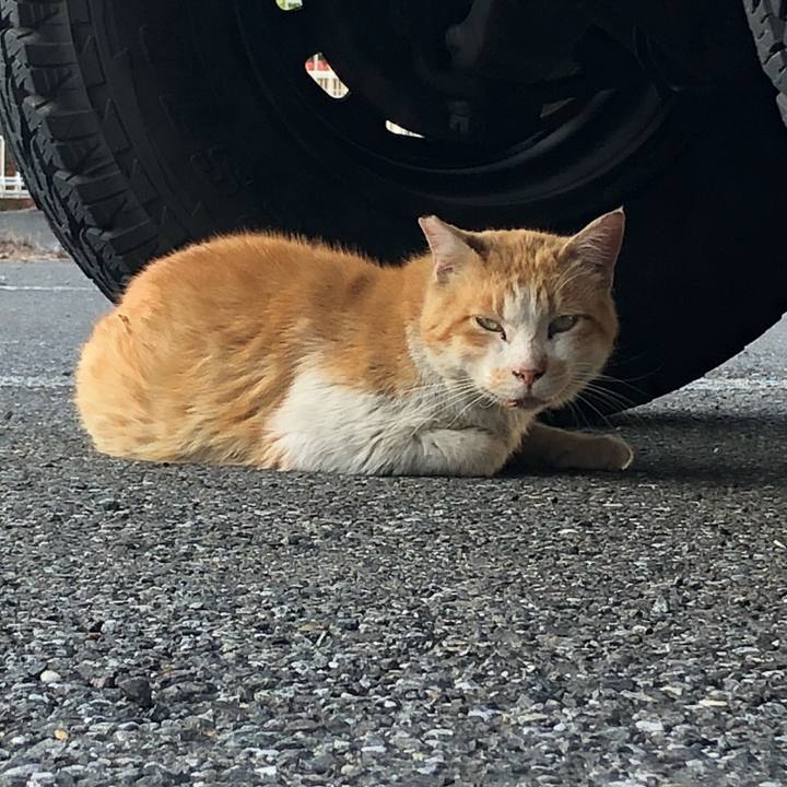 2da5035a 19f6 4d9d b000 cfe66d165374 1525169397199