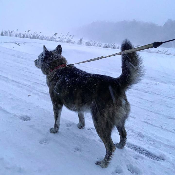 2da50fe1 8a97 44c7 8e5f 3e81ee9273ef 1640643663148