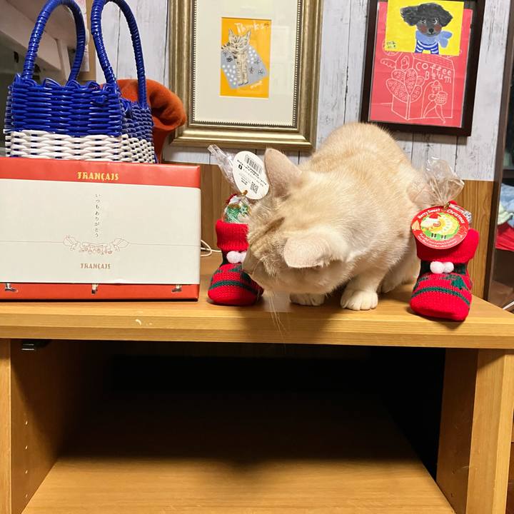 2da5293c 018b 4b26 aa5b 86ea75fb4b61 1700833244598