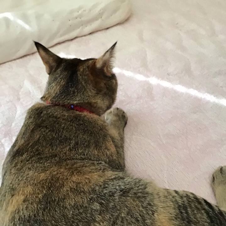 2da53c8c ca06 43dd 8acb 2c4a66fddd57 1582172965034