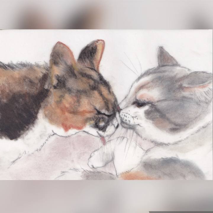 2da567fa e90b 4c63 babc 272ac0a36b92 1729239572900