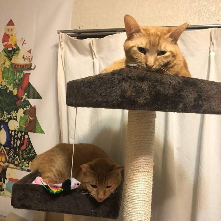 2da577e6 ed68 4350 b369 ae4b1d13faa9 1591964778243