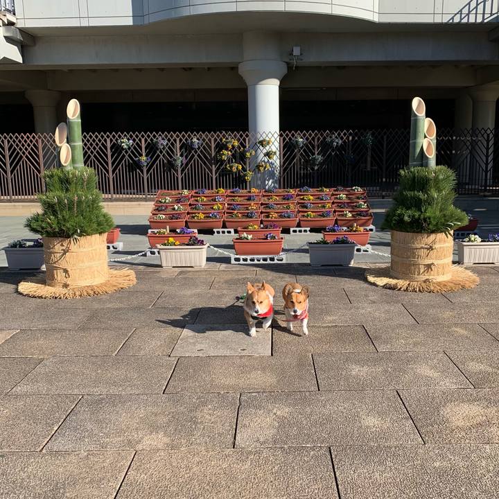 2da57a2d 1300 4428 af8e 594584e9fa4c 1609484659899