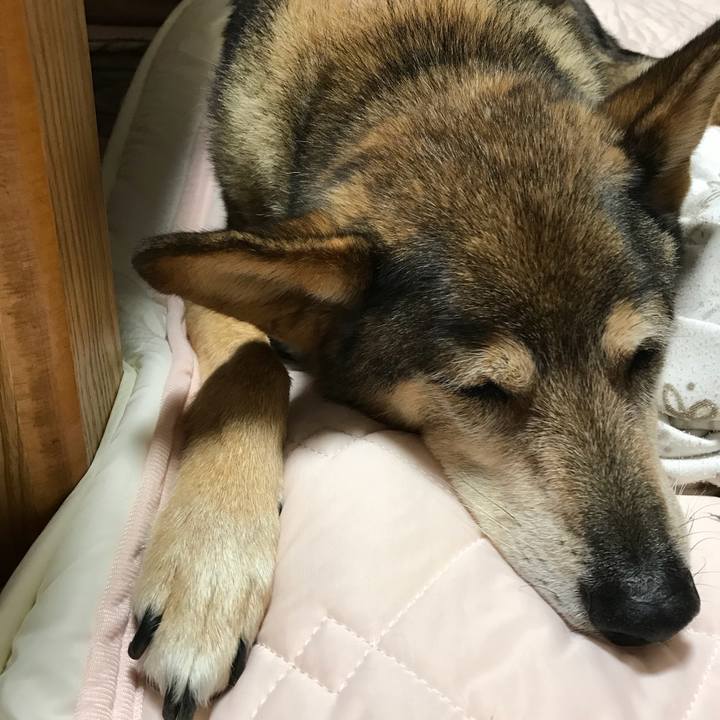 2da58365 caa7 41f0 a1fb 79212c53084e 1536936041608