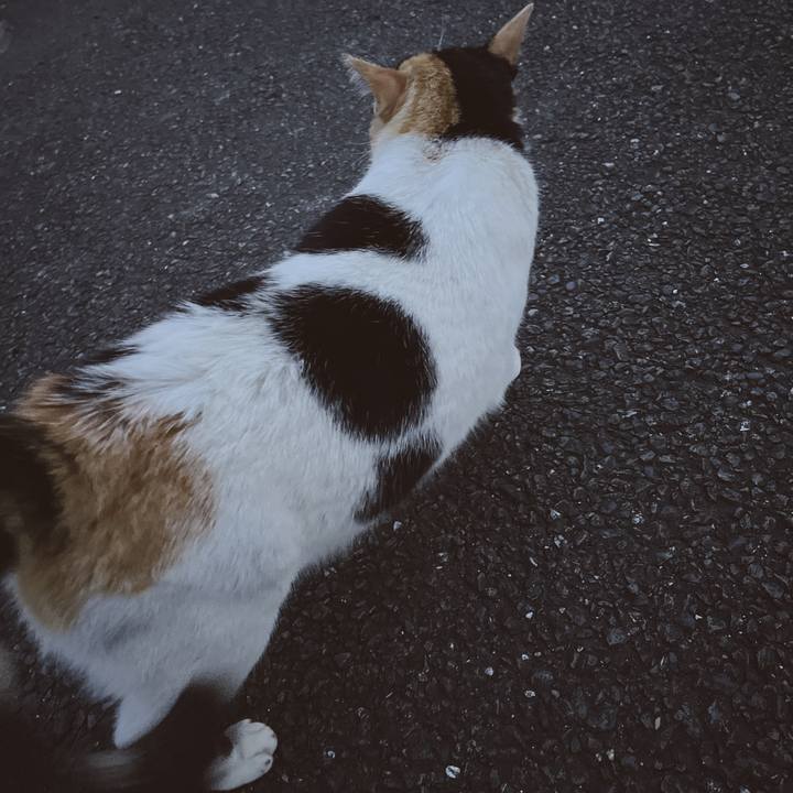 2da59637 c3a5 4578 b048 079f26f90f52 1653227722891