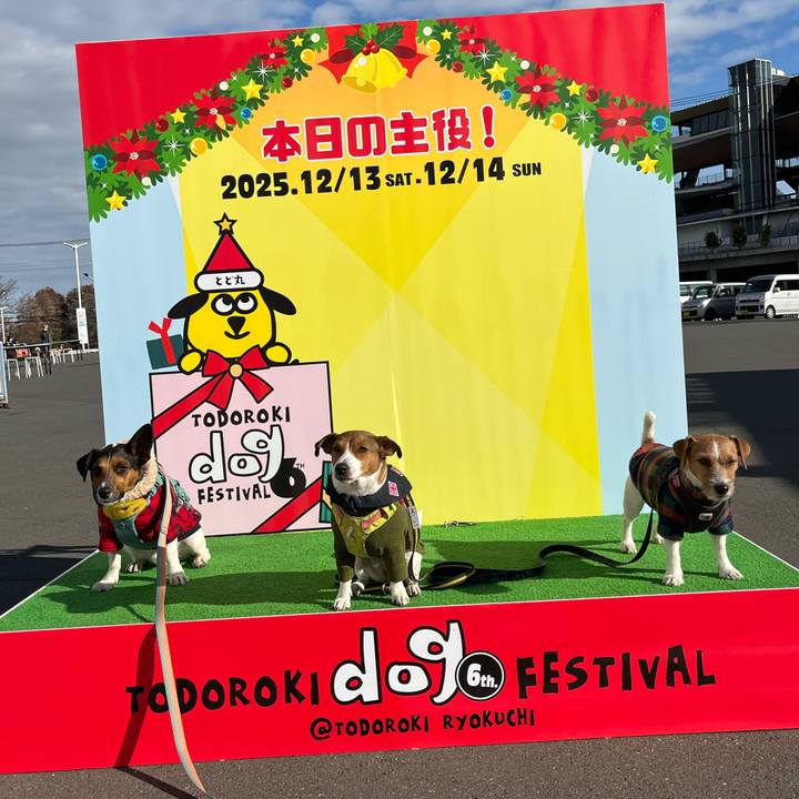 2da5e967 0160 4789 adea fa21ab77b3ef 1765626870211