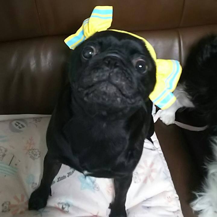 2da617d1 a332 4871 8d16 50891968c3d4 1537854740870