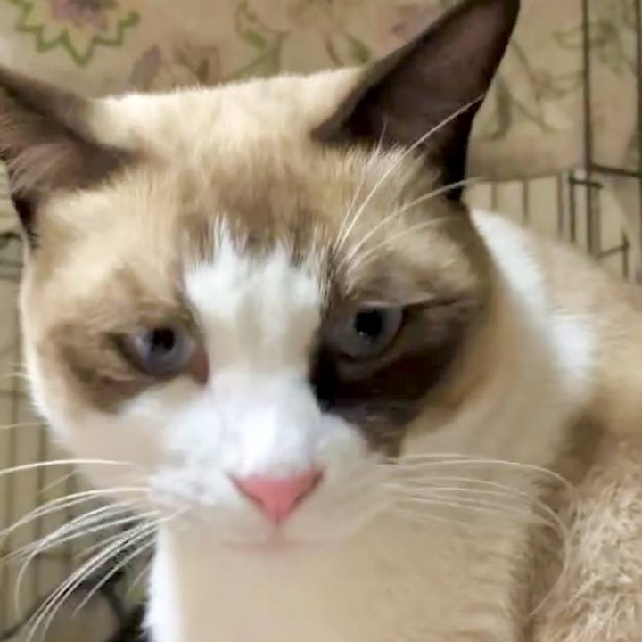 2da62d3b 446e 461a b7bc 6af076c8b60f 1728725518047