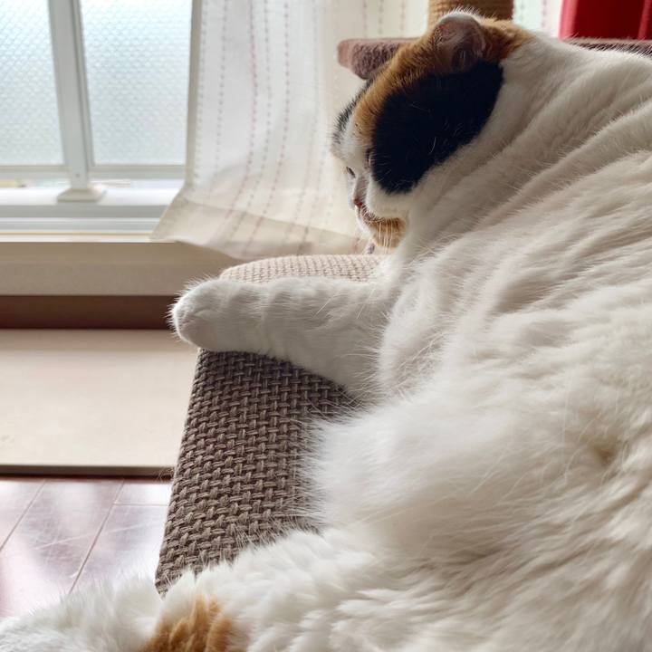 2da64596 b0f0 49f2 9d02 5abda44bee57 1566634367298