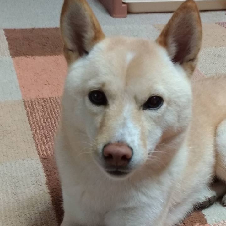 2da6b77e 3058 40ad 880a 61e40de8738d 1546333797995