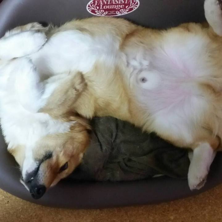 2da6cdd1 21b4 412b 9d37 95df56288582 1559403805695