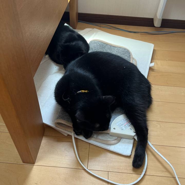 2da6cf93 cc01 4a61 80bd cedf0f240801 1683252438984