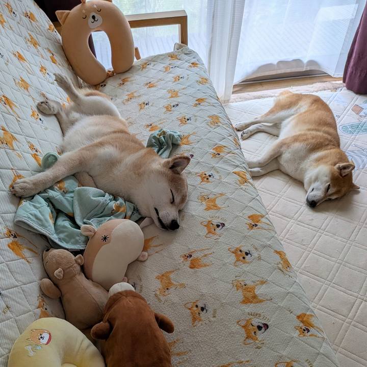 2da7330a 4c93 4396 b454 df7d4c43b875 1758952353187