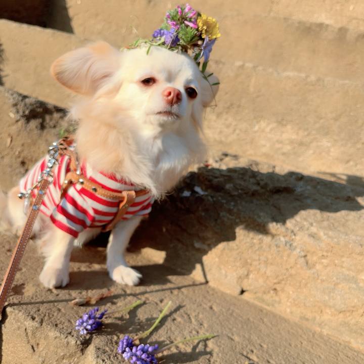 2da73dc8 5bd3 41f6 b4e2 828dbc542bf2 1711100558508