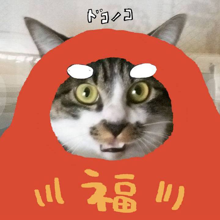 2da7810e 12c2 4ed7 9d33 cc7f36d88269 1771820005084